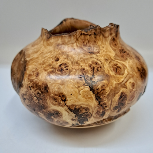 JW-254 Colorado Aspen Burl Hollow Woodturning $175 at Hunter Wolff Gallery